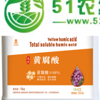 龍燈生物黃腐酸在蔬菜上的應(yīng)用---提高肥效、生根、抗凍