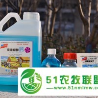 番茄沖施肥|進(jìn)口番茄沖施肥|進(jìn)口番茄沖施肥招商