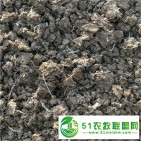 自然晾干雞糞 純雞糞有機(jī)肥 大棚蔬菜肥料