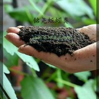 廣東有機(jī)土蚯蚓糞怎么賣(mài)找156377南陽(yáng)皓暢83721