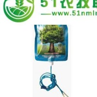 沐陽(yáng)森林狼苗木速長(zhǎng)肥