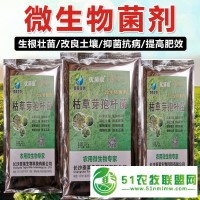 瓜果蔬菜苗木防根腐抗重茬增根壯苗防治土傳病害微生物