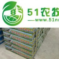 查干湖魚經(jīng)銷公司 長(zhǎng)春賣查干湖**魚價(jià)格+長(zhǎng)春賣查干湖**魚價(jià)格