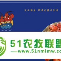 麻辣小龍蝦 澳優(yōu)龍新一代小龍蝦 蝦卡預售 一卡在手 吃蝦不愁