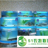 養(yǎng)殖魚池怎么做，石斑魚魚池定做，海水魚要制冷嗎，海水玻璃魚池怎么制冷