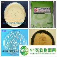 供應(yīng)微生物飼料添加劑 有益活菌 調(diào)節(jié)腸道有益菌 健康促長 水體改良