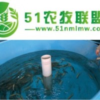 瑞澤*加工養(yǎng)殖設(shè)備玻璃鋼魚苗孵化池2000*500mm玻璃鋼廠家批發(fā)