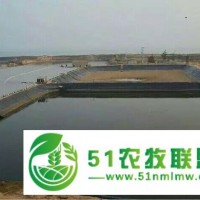 銷售許昌鄭州耐酸堿腐蝕排污池厚塑料膜，廠家,價(jià)格,焊接