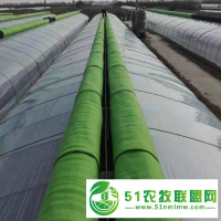 廠家直發(fā)養(yǎng)豬大棚骨架，*建設(shè)20年