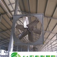 牛圈牛舍風機,無錫牛舍風機,潤江溫控設備