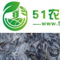 養(yǎng)殖泥鰍一畝要投資價(jià)格，泥鰍苗的價(jià)格