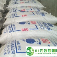 青島奶牛養(yǎng)殖飼料供應(yīng)