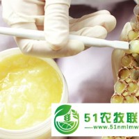 彰武縣蜂王漿銷售，彰武縣蜂王漿價格