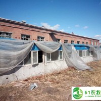 訥河市*生豬養(yǎng)殖 訥河生豬養(yǎng)殖場