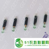 1.4*8mm動物芯片標(biāo)簽，種魚PIT標(biāo)記,魚類植入芯片,防止近親繁殖,優(yōu)化基因