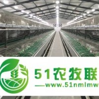 涿鹿縣下疃豐達(dá)兔業(yè)養(yǎng)殖*合作社可長期供應(yīng)實(shí)驗(yàn)兔