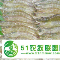 對(duì)蝦養(yǎng)殖怎么樣對(duì)蝦養(yǎng)殖賺錢嗎？