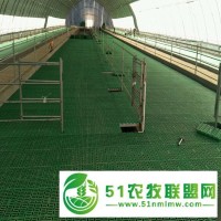 鑫盛(圖)-塑料漏糞板制造商-河北塑料漏糞板