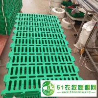 1米高架羊漏糞板塑料養(yǎng)羊用羊床塑料羊鋪板