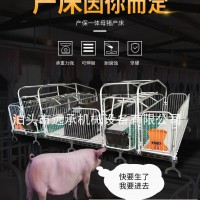遠承設備母豬產(chǎn)床