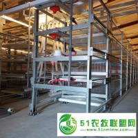 求購肉雞籠育雛雞籠蛋雞籠子