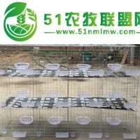 廠家出售鴿籠提供組裝鍍鋅絲網(wǎng)鴿籠規(guī)格齊全