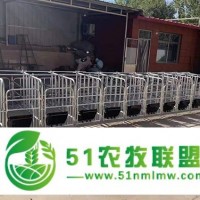 母豬定位欄 落地式母豬限位欄 復(fù)合板欄價(jià)格 靖林畜牧