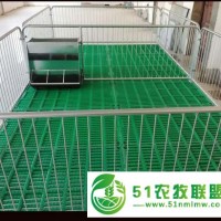 保育床 雙體保育床 可育30頭仔豬