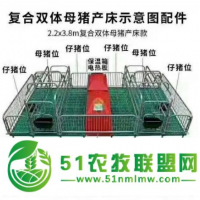 新型母豬產(chǎn)床，復(fù)合母豬產(chǎn)床，豬廠用小豬保育箱，母豬限位欄