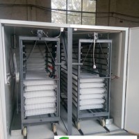 供應(yīng)泰達(dá)TD-8448枚蛋車式孵化機(jī)