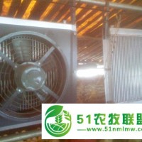 路豐養(yǎng)殖鍋爐大量減價