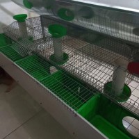 貴州歐式兔籠**供應(yīng)