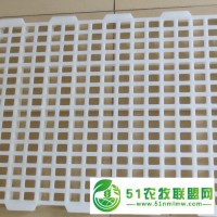 塑料養(yǎng)殖漏糞板家禽漏糞板漏糞板廠(chǎng)家