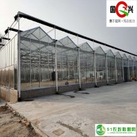 智能連棟玻璃溫室設計 國興廠家** 質(zhì)量**