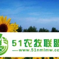 觀賞向日葵種子價(jià)格多少