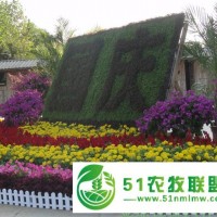 花壇花卉品種有哪些 國慶節(jié)花壇常用花卉有哪些