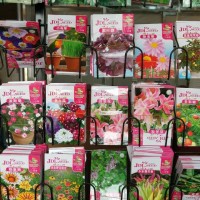 武漢鮮花種子盆栽銷售，蔬菜種子盆栽銷售，武漢玫瑰等鮮花種子