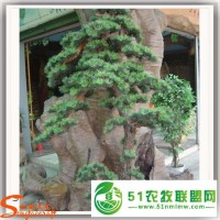 仿真松樹盆栽 室內(nèi)軟裝飾 人造假松樹 仿真植物工藝 玻璃鋼