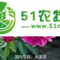 杭州芍藥苗 牡丹芍藥苗 歡迎新老客戶實(shí)地考察