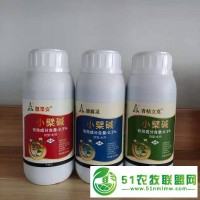 草莓?dāng)囝^病堪稱草莓癌癥如何**斷頭病也叫細(xì)菌性角斑病