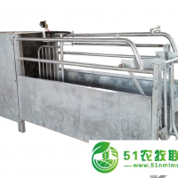 濟南自動母豬飼喂系統(tǒng)/規(guī)模養(yǎng)豬場智能喂豬