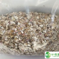 貝殼粉飼料雞蛋預(yù)混料添加劑家禽鸚鵡補(bǔ)鈣