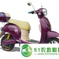 電動(dòng)車廠家價(jià)位——買質(zhì)量**的*龜電動(dòng)車當(dāng)然是到麥科特了