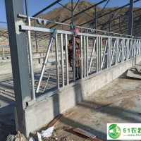 恒力牌熱鍍鋅牛場(chǎng)牛用頸枷廠家