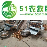 新型青茶籽剝殼機(jī) 全自動(dòng)油茶果脫殼機(jī) 小型山茶籽剝殼機(jī)