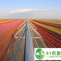 艾瑞德噴灌機(jī)