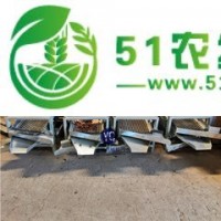 山茶籽剝殼機(jī) 全自動(dòng)油茶果脫殼機(jī) 無(wú)破損茶籽分離設(shè)備