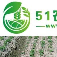 河南省正規(guī)播種機(jī)生產(chǎn)廠家 河源市李旭農(nóng)業(yè)機(jī)械設(shè)備供應(yīng)