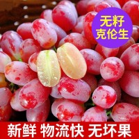 新鮮現(xiàn)摘無籽脆甜紅提子克倫生應季當季孕婦水果2斤批發(fā)薄皮葡萄