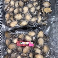 活凍凈鮑魚(yú)肉餐飲